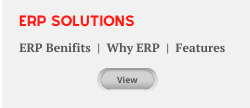 ERP_image